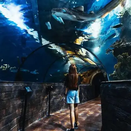 Qawra Seaside Birch Leaf