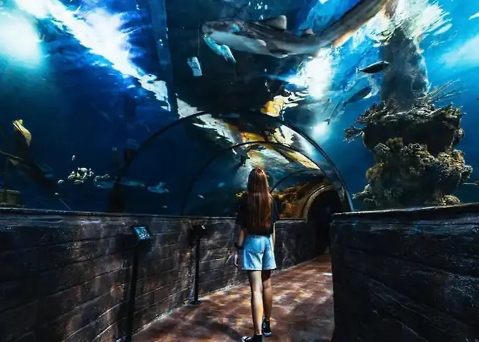 Qawra Seaside Birch Leaf